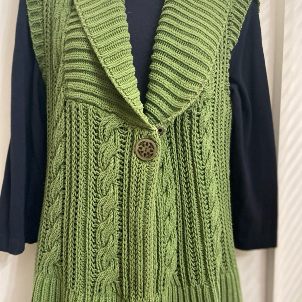 - Charter Club Green Sleeveless Sweater or Vest Size L-XL