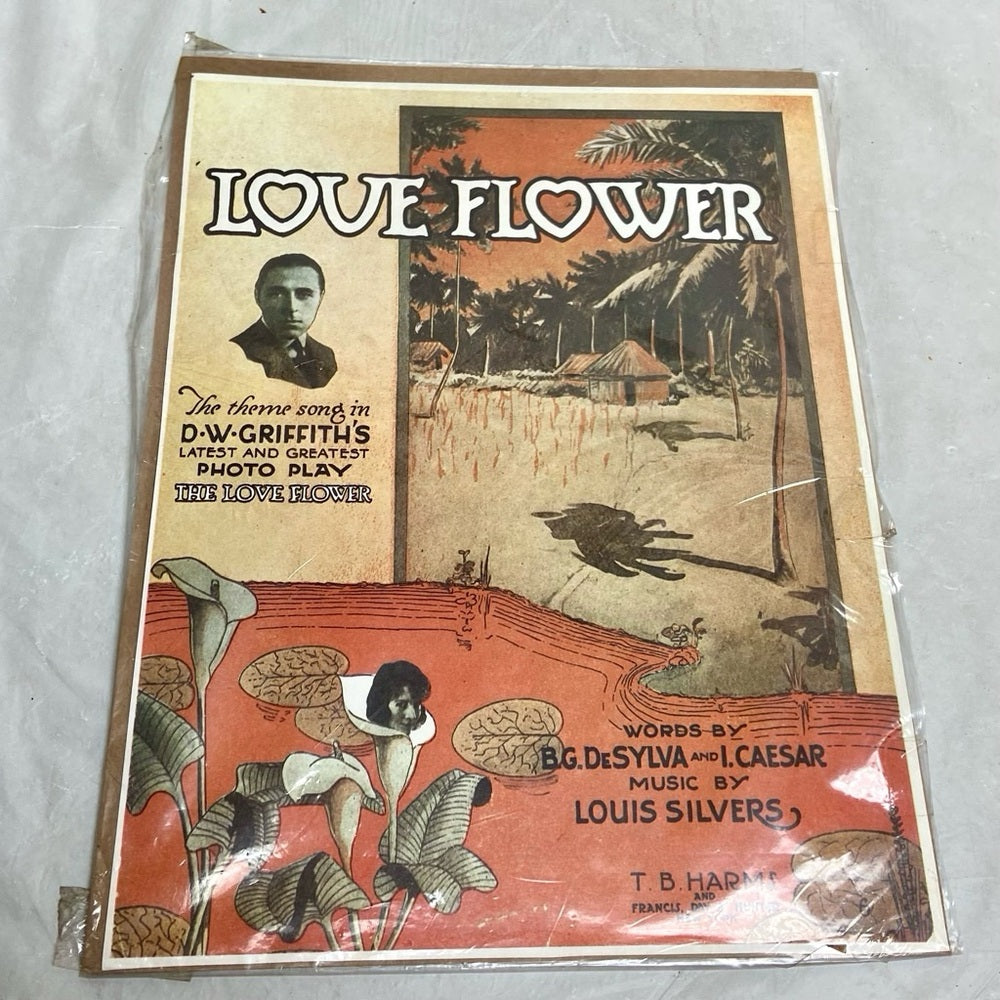 The Garden of Eden, Charming, The Great Garbo, The Love Flower andWoman Disputed