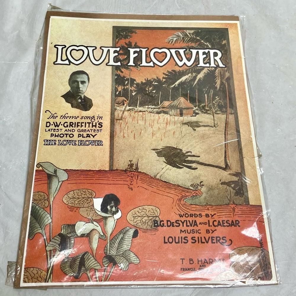 The Garden of Eden, Charming, The Great Garbo, The Love Flower andWoman Disputed
