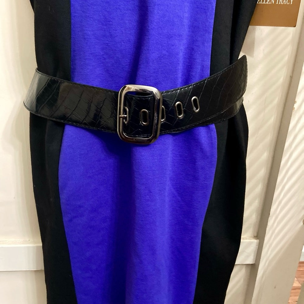 Ellen Tracy Purple and Black Dress Size 12