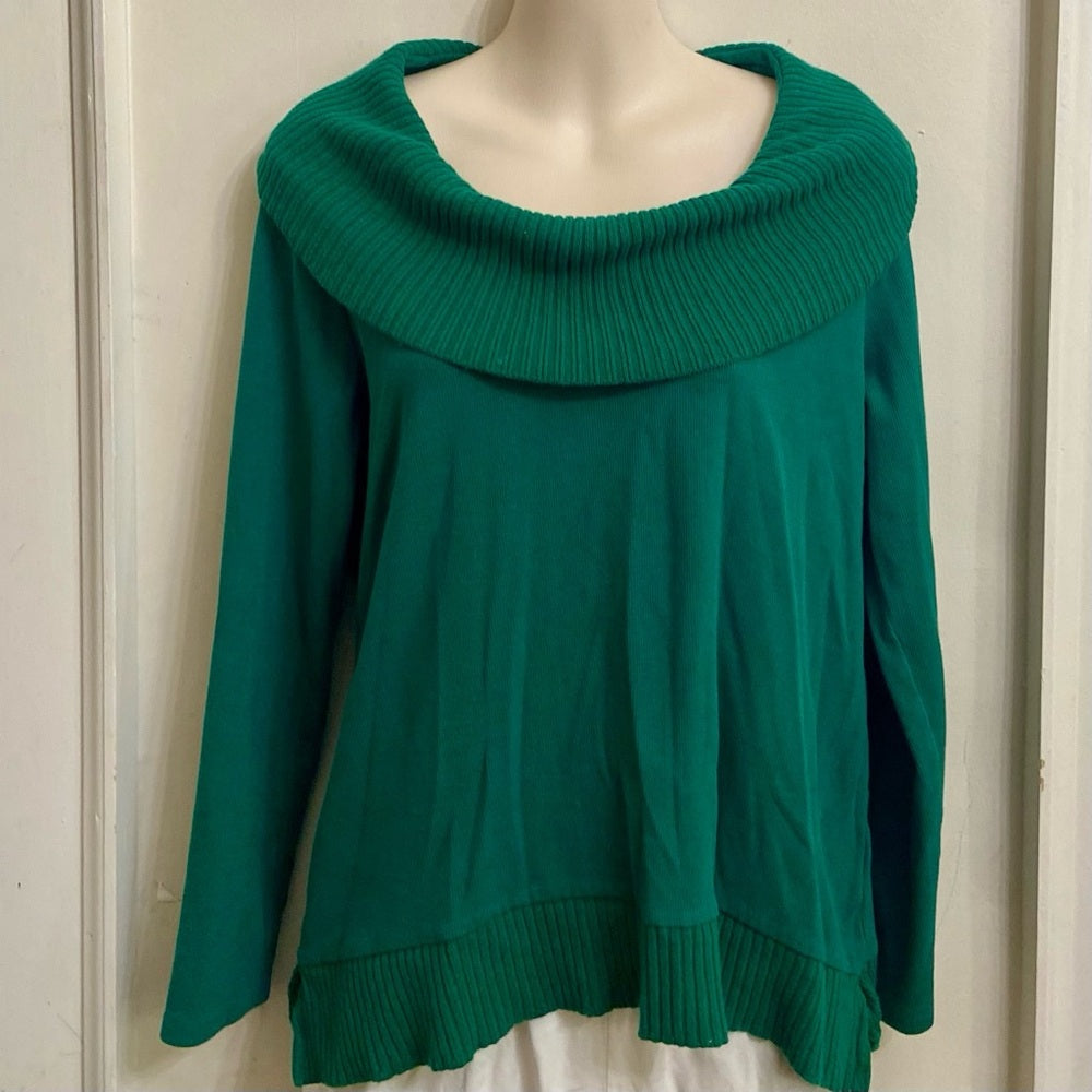 Rafaella Green Turtle Neck Sweater (M)