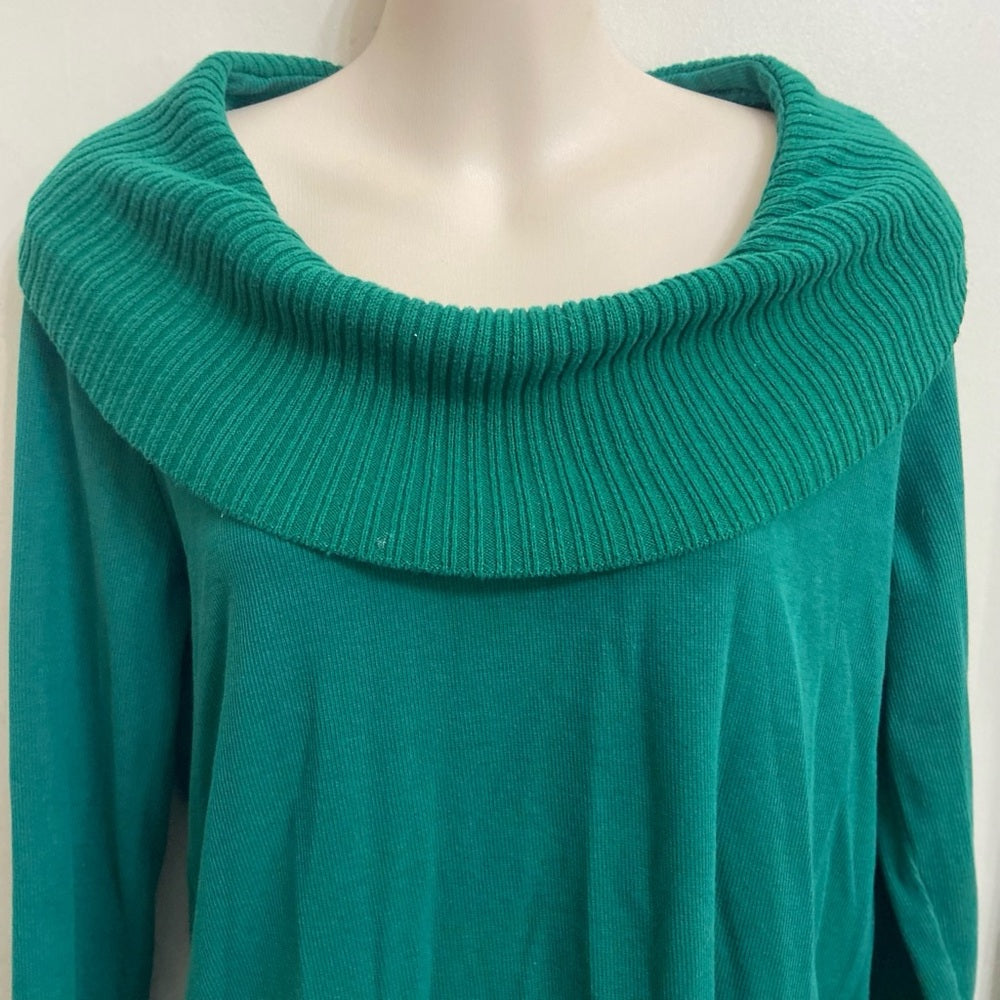 Rafaella Green Turtle Neck Sweater (M)