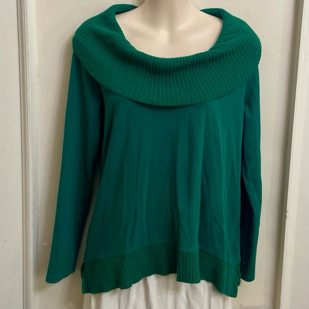 Rafaella Green Turtle Neck Sweater (M)