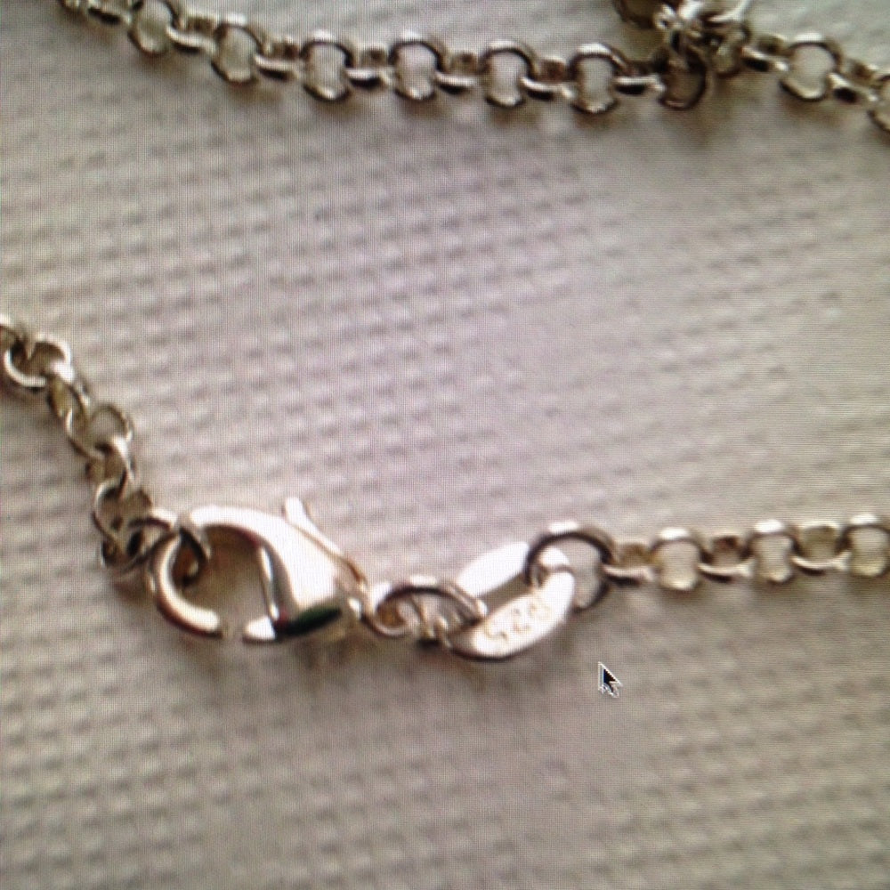 Vintage Mother of Pearl Clam Shell Purse Pendant 925 Silver Chain Necklace