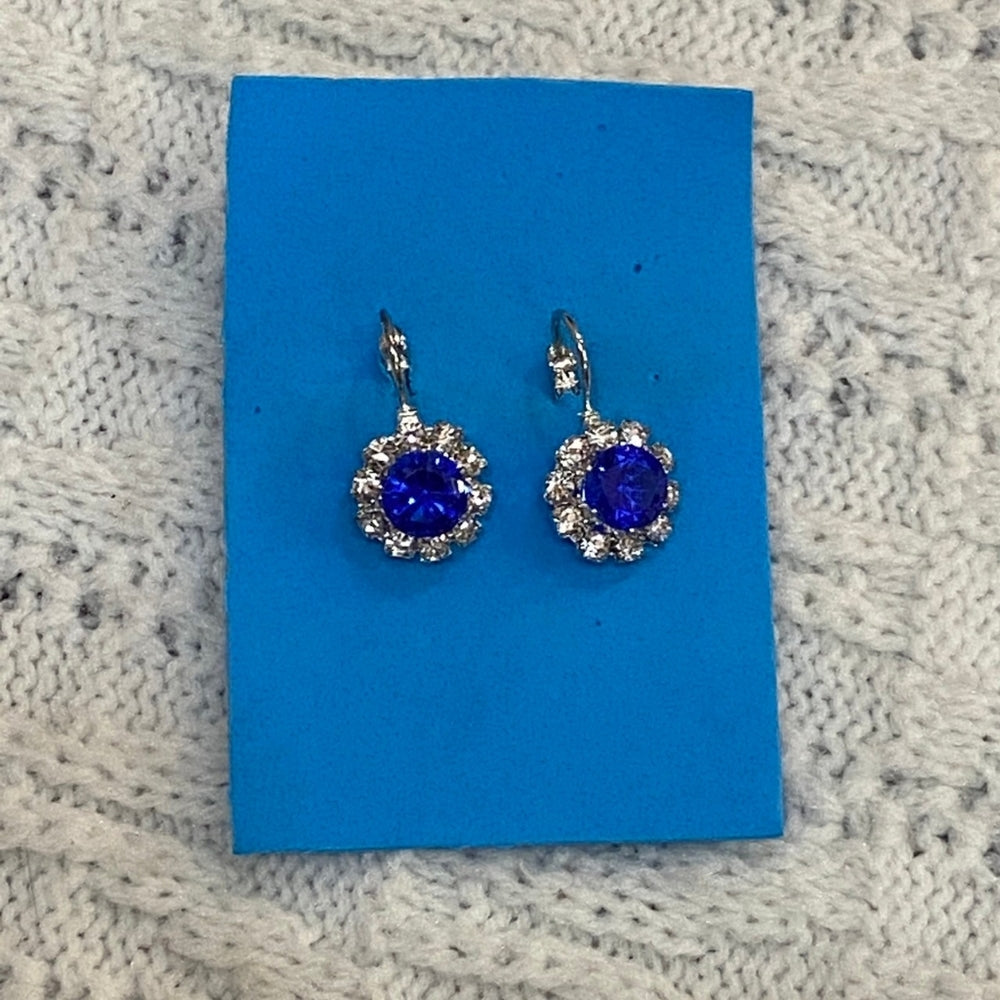 Princess Earrings, Blue Floral Pierced Dangling