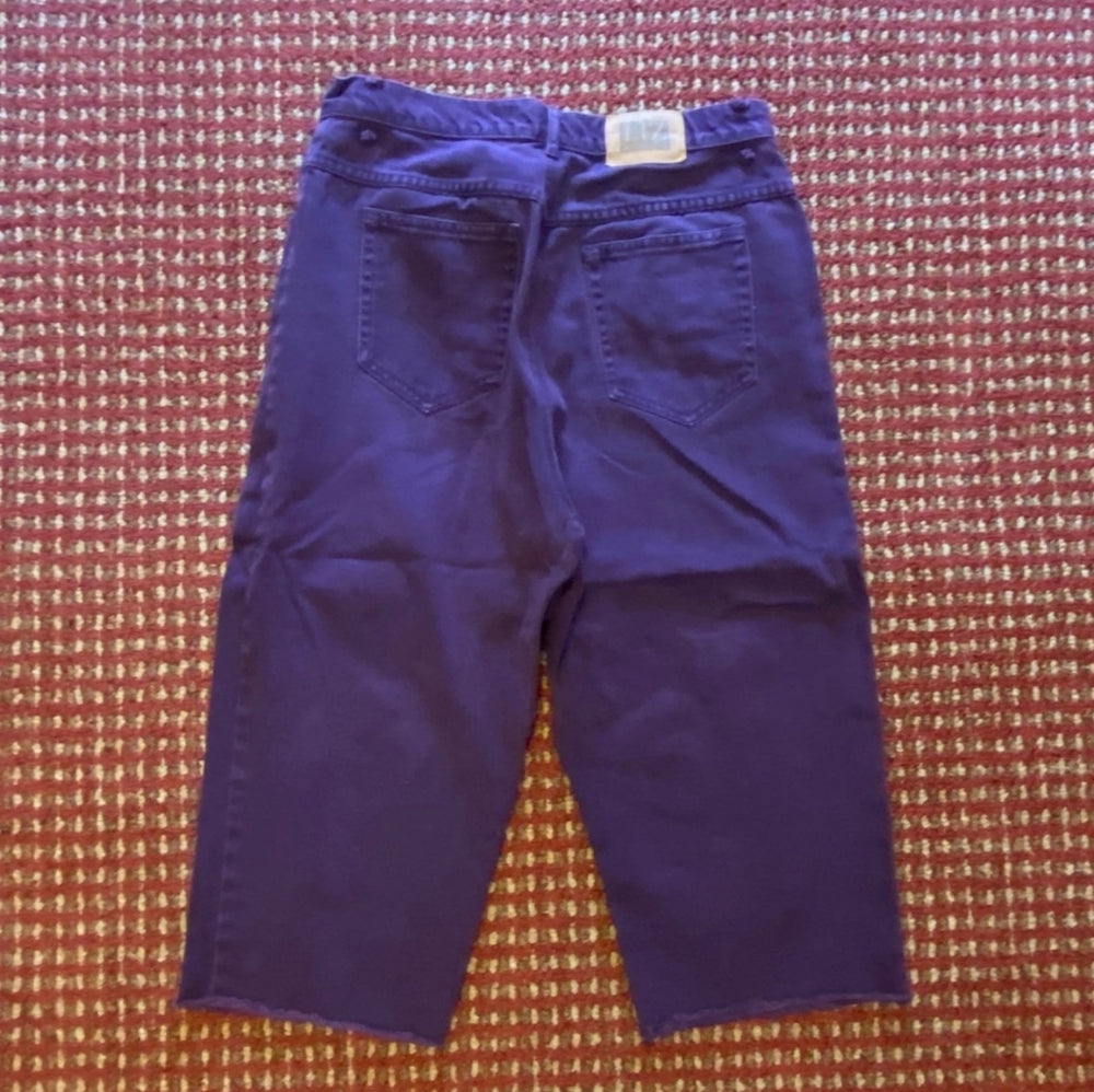 Liz Wear Petites, Purple Capris