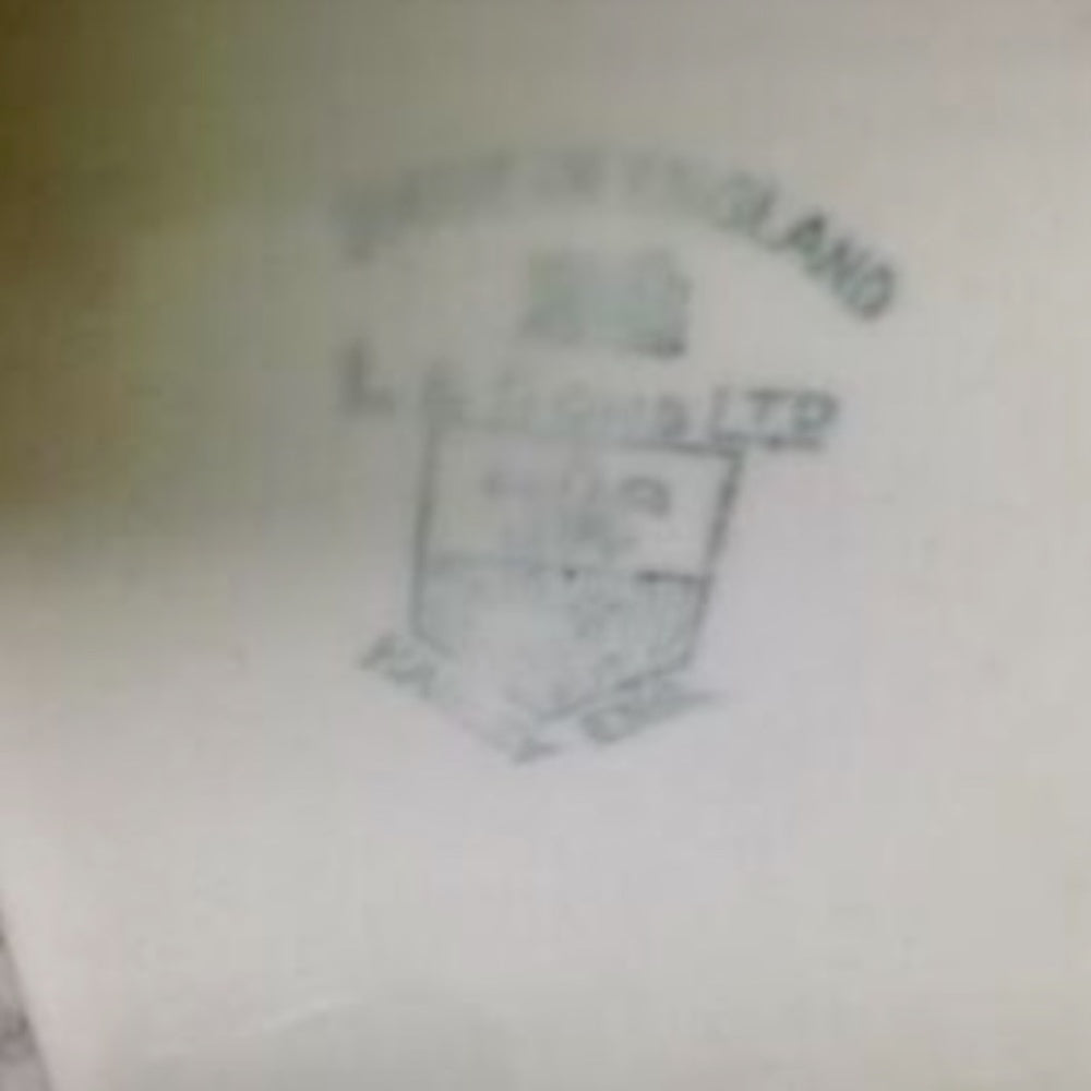 Antique LS & Sons Ltd., Hanley, England, Polychrome, Blue Willow 7inx5in
