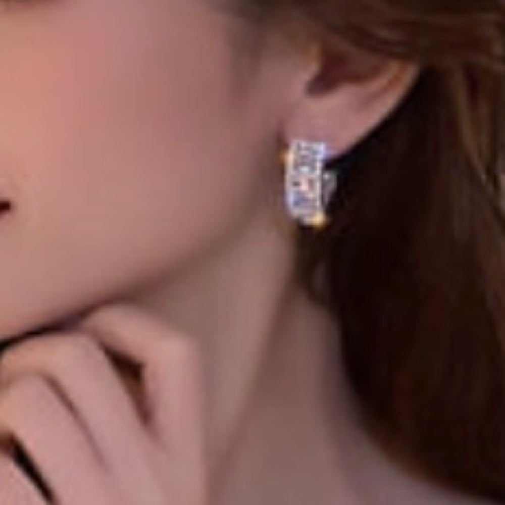 Faux Diamond Cubic Zirconia 925 Silver Stud Hoop Earrings