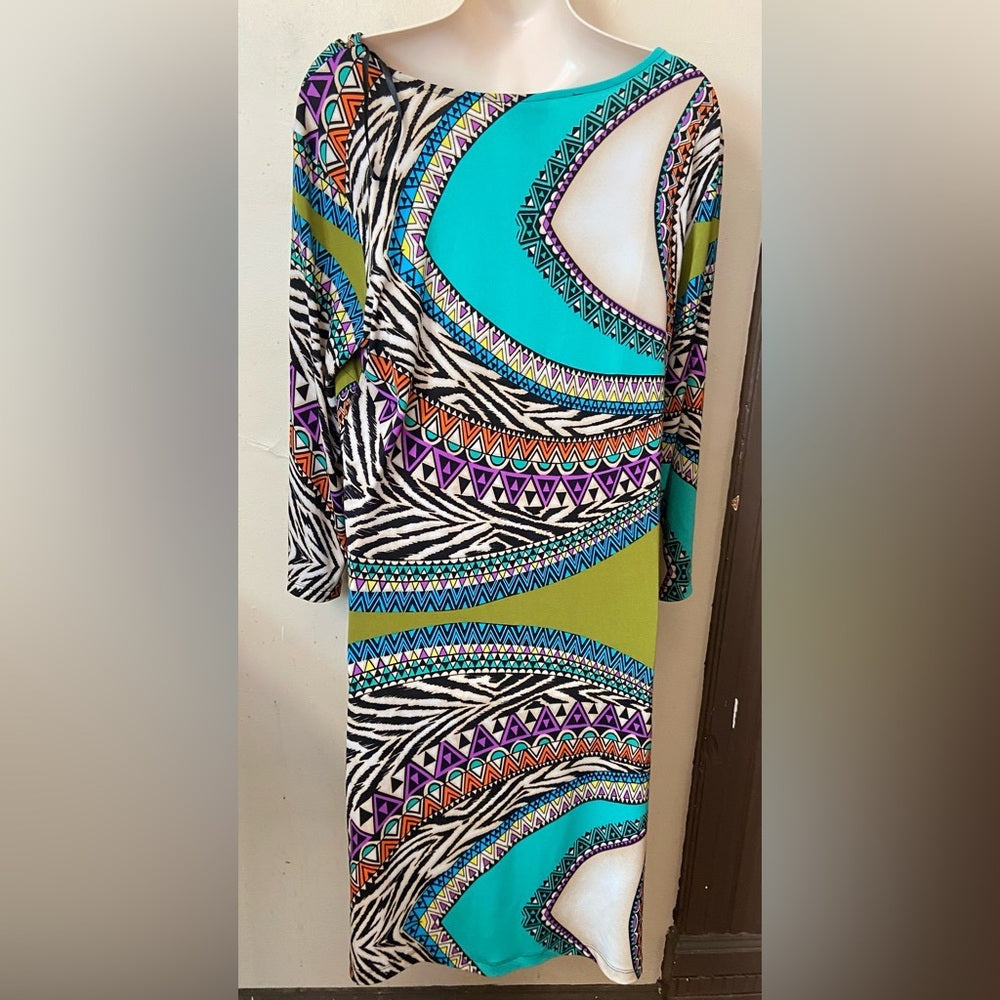 Stunning Enfocus Printed Dress with Decorative Collared Necklace Size 14