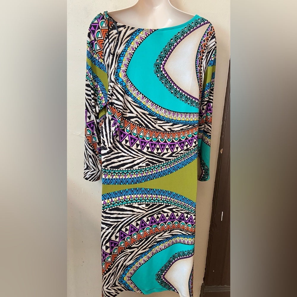 Stunning Enfocus Printed Dress with Decorative Collared Necklace Size 14