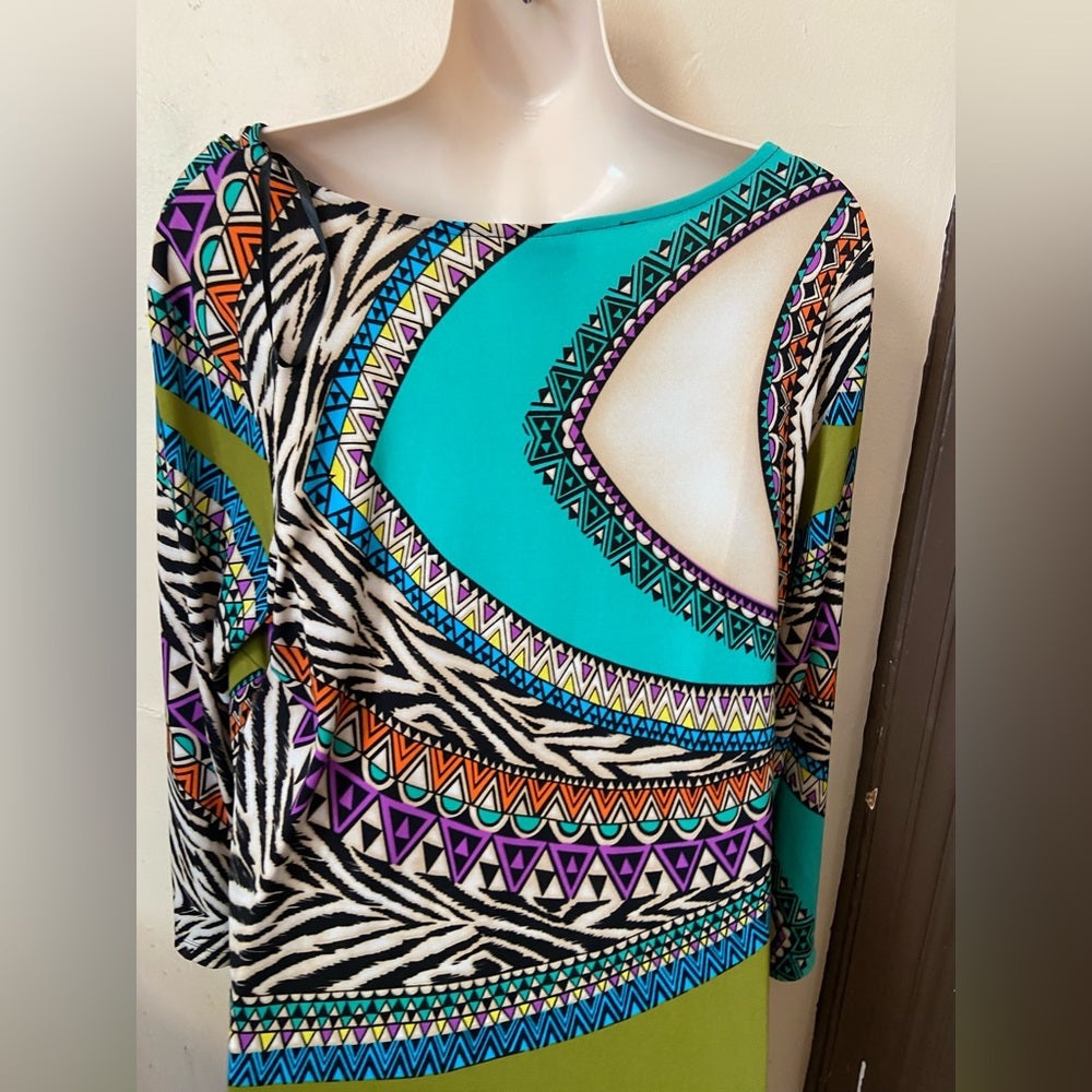 Stunning Enfocus Printed Dress with Decorative Collared Necklace Size 14