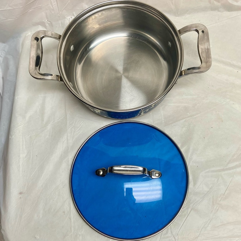Blue Willow, Stainless Steel Medium-Dutch Oven w/ Lid 12in L x 8.5in D x 6in H