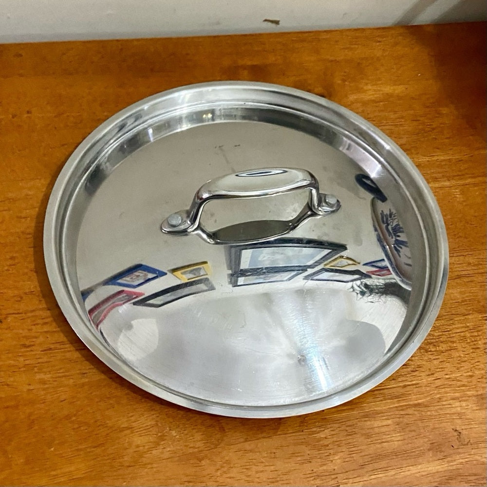 Blue Willow, Stainless Steel Large Dutch Oven w/ Lid 14in L x 10.5in D x 3.5in H
