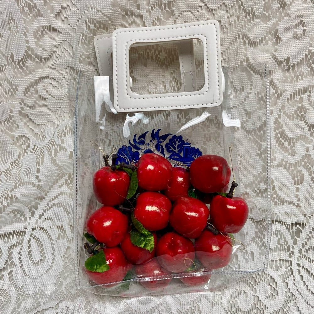 Blue Willow, Small Clear Plastic Tote or Gift Bag 10in x 7in x 4in  (A)