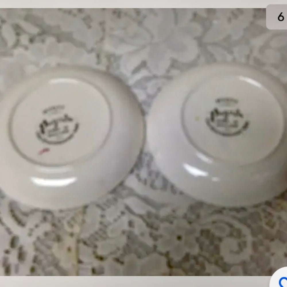 Vintage, Rare, England, Myott Gaudy Willow 2pc Butter Pat 4in D